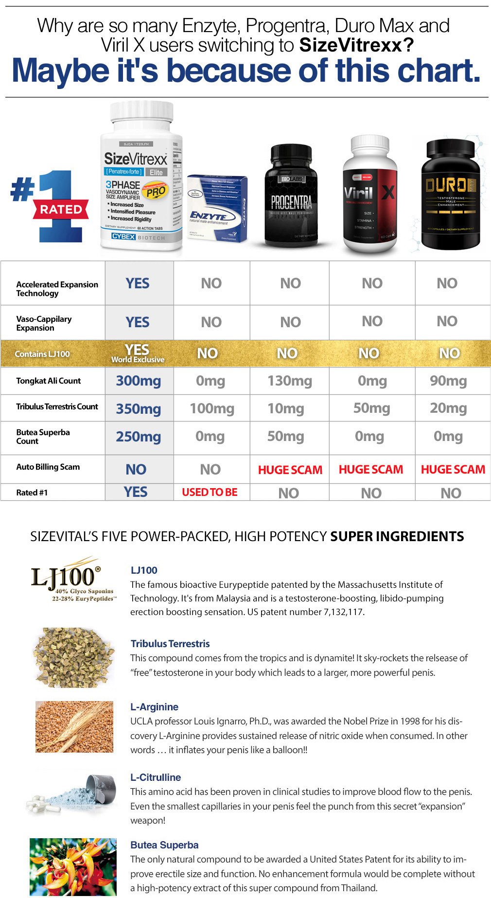 Safty Chart